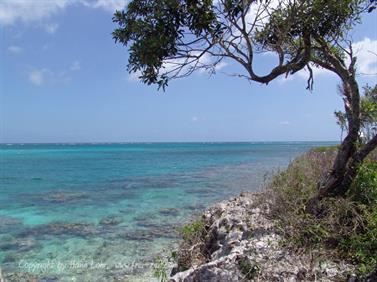 2010 Cuba, Holguin, Hotel Rio de Oro, Paradisus, DSC00095b_B740